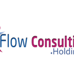 Flow Consulting
