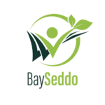 Bayseddo