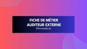 Auditeur externe