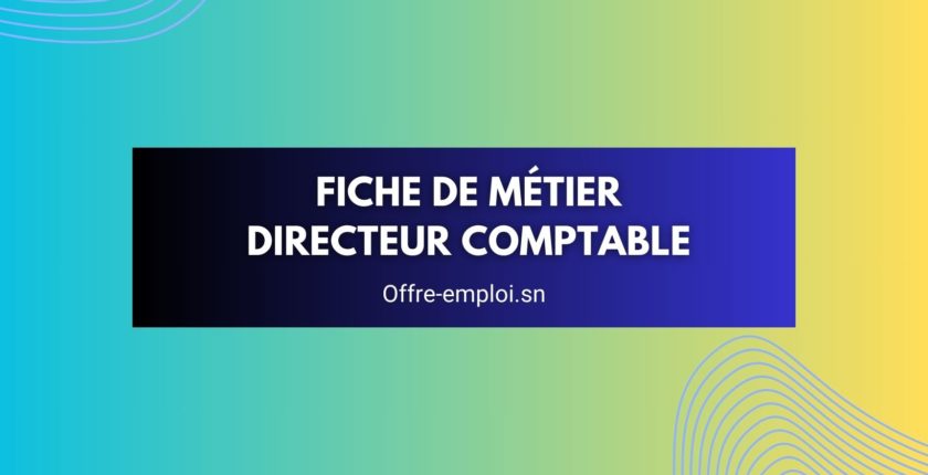 Directeur comptable