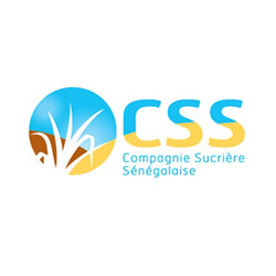 css logo